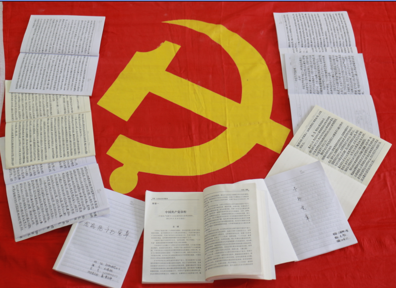 “手抄党章”活动图片展示(一)