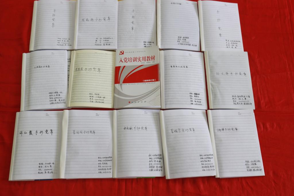 “手抄党章”活动图片展示(二)