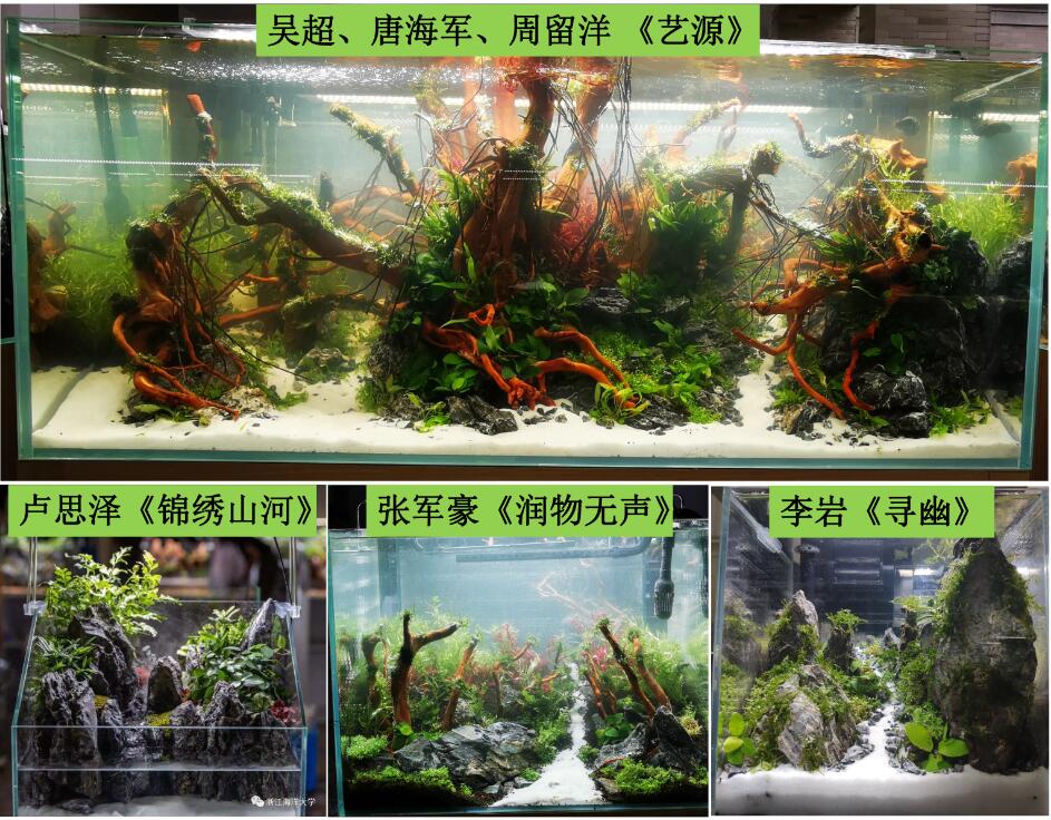 员工参赛作品